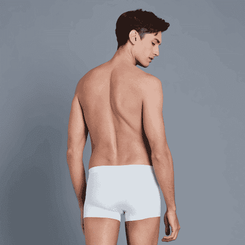 CAFÉ EQUALIZER V-TRUNK